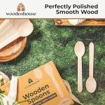 Disposable Wooden Spoons Set of 250 pcs – Biodegradable Utensils, Eco–Friendly & Compostable Disposable Cutlery – Perfect for Parties, Events & Catering - Wooden Spoons Disposable Wooden Cutlery
