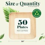 Palm Leaf Plates 10 Inch Bamboo Paper Disposable 50 Bulk Dinner Square Party Plates Event Tableware Eco Biodegradable Compostable Wooden Plate Best Alternative to Plastic Plate, By KoalaLove
