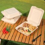 Aricsen 100 Pack 3 Compartment Compostable 8x9 Inch Takeout Lunch Box Containers with Lid To Go Take Out Clamshell for Food, Disposable Eco-Friendly Biodegradable Bagasse, PFAS-Free, Brown