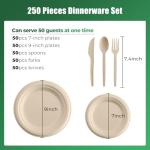 250 Piece Biodegradable Paper Plates Set Disposable Dinnerware Set, Eco Friendly Compostable (EXTRA LONG UTENSILS), Utensil include, Forks, Knives and Spoons for Party andBirthday party, camping