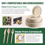 250 Piece Biodegradable Paper Plates Set Disposable Dinnerware Set, Eco Friendly Compostable (EXTRA LONG UTENSILS), Utensil include, Forks, Knives and Spoons for Party andBirthday party, camping