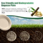 250 Piece Biodegradable Paper Plates Set Disposable Dinnerware Set, Eco Friendly Compostable (EXTRA LONG UTENSILS), Utensil include, Forks, Knives and Spoons for Party andBirthday party, camping