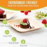 Raj Eco Compostable Palm Leaf Plates Like Bamboo Plates Disposable - 6 Inch Square 50 Party Plate, Natural Wooden, Eco-Friendly, Fancy Biodegradable & Disposable Dessert Appetizer Plate