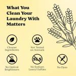 Pronounce Laundry Detergent Powder Alternative | Earth-Derived Ingredients, Eco-Friendly, Safer for Sensitive Skin, Eczema, and Babies. Stain + Smell Fighting. HE Safe (Lemon, 120 Loads).