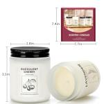 Natural Soy Wax Scented Candle Set - 4 Pack