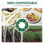 JOLLY CHEF 100% Compostable Paper Plates, 150 Pack 10 Inch Heavy Duty Plates, Disposable Biodegradable Eco-Friendly Sugarcane, Bulk Nature