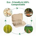 Aricsen Compostable 100 Pack 9x6 Inch Takeout Lunch Box Containers with Lid To Go Take Out Clamshell for Food, Disposable Eco-Friendly Biodegradable Bagasse, PFAS-Free, Brown