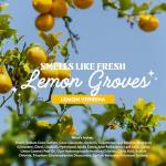 Eco-Friendly Lemon Verbena Hand Soap Refill 32 oz