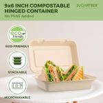 Eco-Friendly Clamshell Containers for Takeout (50 Count)