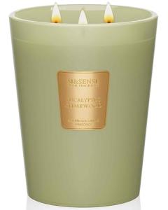 Eco-Friendly Eucalyptus & Cedarwood 3-Wick Candle