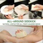 Natural Loofah Dish Sponge Pack 6 Vegetable Scrubber for Kitchen -100% Biodegradable Compostable Dishwashing Scouring Pad Zero Waste Plastic Free Eco Friendly Sustainable