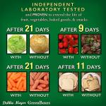 Debbie Meyer UltraLite GreenBox | Reusable Plastic Airtight Food Storage Containers with Lids, Keeps Fruit, Vegetables Fresh Longer, Perfect for in the Fridge Travel On-The-Go or Lunch | 32 Piece Set