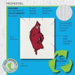 Wet-It! University of Arkansas- 3 Pack Swedish Dishcloths- Reusable Kitchen Towels for Dishwashing and Home Cleaning- Eco-Friendly Alternative to Paper Towels- Machine Washable and Dryer Safe