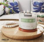 Eucalyptus & Mint Aromatherapy Candle - 14.75 oz