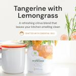 Grab Green Dishwashing Pods - Tangerine Lemongrass, 60 Count