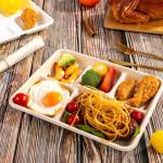 WELLIFE 100% Compostable 5 Compartment Paper Plates, 125 Pack Heavy Duty Disposable School Lunch Trays, 10.25 * 8.25 Inch Eco-Friendly Bagasse Plates for Boys, Girls and Youth (BPA Free,Microwaveable)