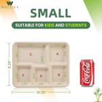 WELLIFE 100% Compostable 5 Compartment Paper Plates, 125 Pack Heavy Duty Disposable School Lunch Trays, 10.25 * 8.25 Inch Eco-Friendly Bagasse Plates for Boys, Girls and Youth (BPA Free,Microwaveable)