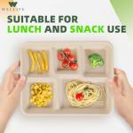 WELLIFE 100% Compostable 5 Compartment Paper Plates, 125 Pack Heavy Duty Disposable School Lunch Trays, 10.25 * 8.25 Inch Eco-Friendly Bagasse Plates for Boys, Girls and Youth (BPA Free,Microwaveable)