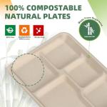 WELLIFE 100% Compostable 5 Compartment Paper Plates, 125 Pack Heavy Duty Disposable School Lunch Trays, 10.25 * 8.25 Inch Eco-Friendly Bagasse Plates for Boys, Girls and Youth (BPA Free,Microwaveable)