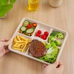 WELLIFE 100% Compostable 5 Compartment Paper Plates, 125 Pack Heavy Duty Disposable School Lunch Trays, 10.25 * 8.25 Inch Eco-Friendly Bagasse Plates for Boys, Girls and Youth (BPA Free,Microwaveable)