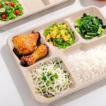 WELLIFE 100% Compostable 5 Compartment Paper Plates, 125 Pack Heavy Duty Disposable School Lunch Trays, 10.25 * 8.25 Inch Eco-Friendly Bagasse Plates for Boys, Girls and Youth (BPA Free,Microwaveable)