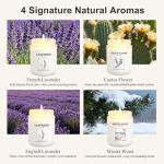 Lavender Scented Candles Gift Set - 4 Pack