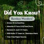 Essentials Bamboo Toilet Paper | Organic Ultra Soft | Extra Thick 3 Ply | Chemical Free Tissue Paper | Non Toxic & PFAS Free | Sustainable Septic Safe | 350 Sheets | 12 Pack by GoTo Wipes