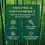 Bamboo Toilet Paper | Gentle Feel, Strong & Absorbent | Tree-Free & Eco-Friendly | Rapid-Dissolving & Septic-Safe | Lint-Free, BPA/PFAS-Free, No Fragrance | 12 Rolls, 360 Sheets | PALM NAKI