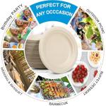 FYQFBJ 6 Inch Small Paper Plates Disposable - Biodegradable Compostable Appetizer Plates for appetizer, Party, Cake, Snacks Dessert (100 Pack, Heavy Duty Eco-Friendly) anti-slip Brown
