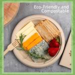 Jenvita Paper Bamboo Plates Disposable (50-Pack, 9-inch) | Sturdy & Microwave Safe | Compostable Paper Plates Disposable Heavy Duty | PFAS Free, Biodegradable | FSC Certified Alternative to Plastic
