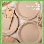 Jenvita Paper Bamboo Plates Disposable (50-Pack, 9-inch) | Sturdy & Microwave Safe | Compostable Paper Plates Disposable Heavy Duty | PFAS Free, Biodegradable | FSC Certified Alternative to Plastic