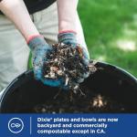 Eco-Friendly Disposable Paper Plates, 90 Count