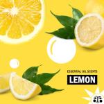 Molly's Suds Toilet Bowl Cleaner (Non-Bleach) | 98% Plant-Based Gel Formula Freshens, Removes Stains and Deodorizes | Lemon Scent - 23 Fl Oz (Pack of 3)