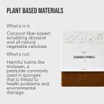 Public Goods Scrubber Sponge | Cleaning & Scrubbing Sponges for Dishes & Kitchen Sink | Natural, Plant-Based Sponges | Pack of 4