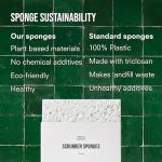 Public Goods Scrubber Sponge | Cleaning & Scrubbing Sponges for Dishes & Kitchen Sink | Natural, Plant-Based Sponges | Pack of 4