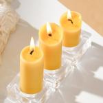 AGLARY Small Pillar Candles 4-Pack - 10-Hour Long Burning 100% Natural Beeswax Candles, Perfect for Everyday Use, Home & Travel, Power Outages，Classic Pillar Style (3.5"x1.3")