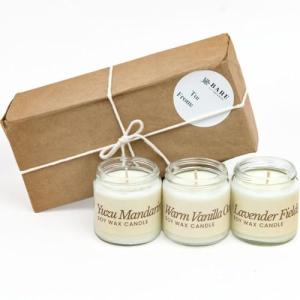 Bare Botanics Soy Candle Gift Set 3 pcs - 100% Plant-Based Fragrance Oils - Premium, Non-Toxic Candle - Softly Scented Natural Soy Wax - Handpoured in WI - Discovery Candle Set and Ready to Gift