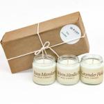 Bare Botanics Soy Candle Gift Set 3 pcs - 100% Plant-Based Fragrance Oils - Premium, Non-Toxic Candle - Softly Scented Natural Soy Wax - Handpoured in WI - Discovery Candle Set and Ready to Gift