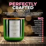 Waxily Lemon Scented Soy Candle | Non Toxic, Phthalate-Free Essential Oil Candle | Odor Eliminating Citrus for Kitchen, Aromatherapy, Luxury Gift, Clean Burning, Fresh Home Decor | 12oz