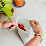 WeeSprout Reusable Silicone Bags (Set of 3) 100% Food Grade Storage Containers, Leakproof, Dishwasher & Microwave Safe, Snack, Sandwich, Quart, & Half Gallon Sizes