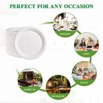 Vplus 500 Pack Paper Plates 9 inch 100% Compostable, Heavy-Duty Disposable Paper Plates Bagasse Natural Biodegradable Eco-Friendly Sugarcane（White）