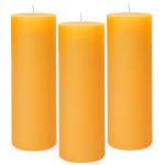 3 Pack Natural Beeswax Pillar Candles,2x6in Large Pure Beeswax Candles-180 Hours Long Burning,Organic Bees Wax Candles for Home,Prayer,Emergency,Smokeless Dripless Organic Pillar Candles Bulk