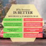 Big Dipper Wax Works Lilac Frog Candle, Hand-Sculpted Pure Beeswax, 2.5” x 3.5”, 24-Hour Clean Burn, Eco-Friendly Unscented Home Décor, Whimsical Garden Candle Made in USA