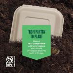 Compostable 6x6" Clamshell Takeout Containers - 50-Pack