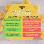 Big Dipper Wax Works 100% Pure Beeswax Pillar Candle 4 Pack, 2" x 4.75", Handmade in USA, 40 Hour Burn, Honey Aroma, Clean Soot-Free, Eco-Friendly Cotton Wick, Gift Set for Home Décor & Meditation