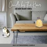 Candle by the Hour 120-Hour Beehive Candle, Eco-friendly Natural Beeswax with Cotton Wick