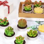 SCENTORINI Tealight Candles, 12 Pack Cactus Candles, Cute Tealight Candles for Christmas Decorations, Mini Delicate Candles, Unscented Candles Gift for Birthday Party Wedding Home Decor