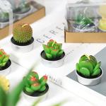 SCENTORINI Tealight Candles, 12 Pack Cactus Candles, Cute Tealight Candles for Christmas Decorations, Mini Delicate Candles, Unscented Candles Gift for Birthday Party Wedding Home Decor