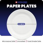 Eco-Friendly Uncoated White Paper Plates - 100 Pack