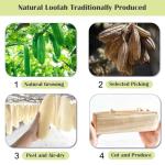 Natural Loofah Sponge Back Scrubber for Bath Shower, Exfoliating Body Scrubber, Shower Loofah Scrubber for Men and Women, Bath Sponge, Body Scrub, to Clean Your Body Deeply, Invigorate Your Skin